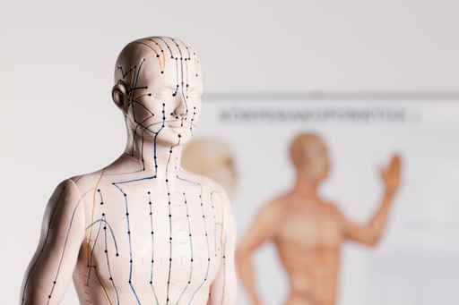 Mannequin d'acupuncture avec points de pression